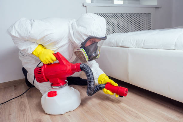 Best Affordable Pest Control Services  in Morton Grove, IL