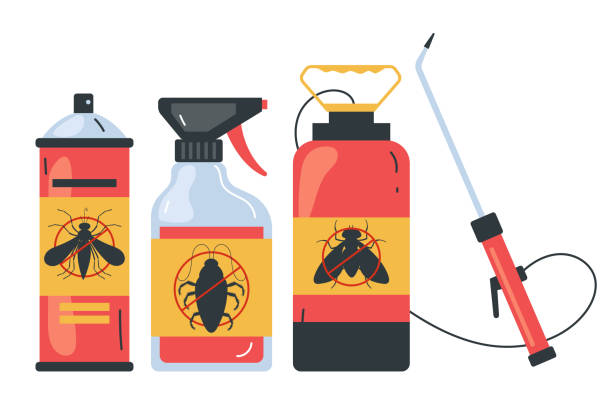 Best Ant Control Services  in Morton Grove, IL