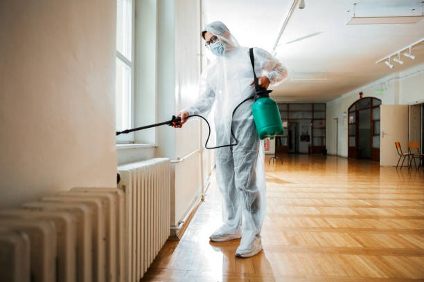 Best Best Pest Control Companies  in Morton Grove, IL