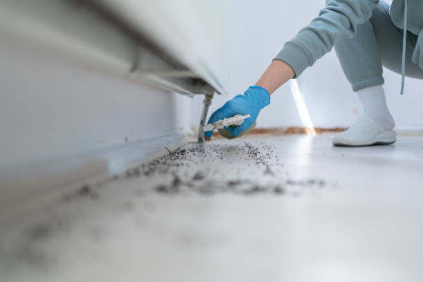 Best Exterminator Services  in Morton Grove, IL